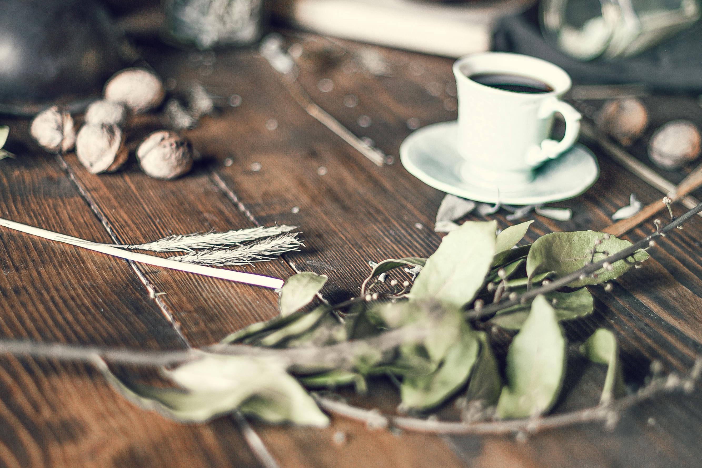 bay leaf